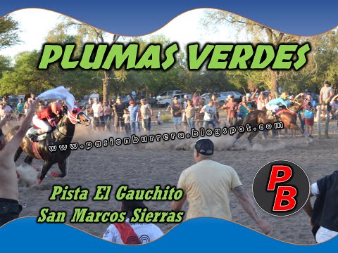 PLUMAS VERDES, Pista El Gauchito - San Marcos Sierras (21-11-2021)