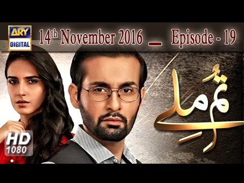 Tum Milay Episode – 19 – 14th November 2016 | ARY Digital Drama