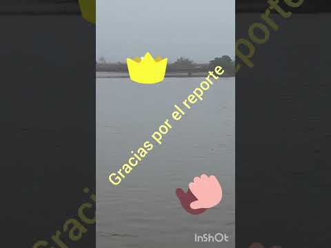 puerto de gral Lavalle hoy