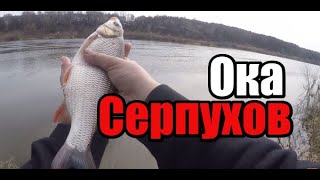 Станция ока серпухов рыбалка