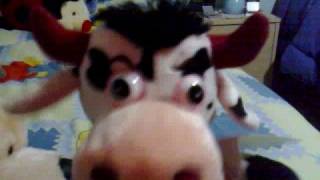 Quel Pazzo Pupazzo di Irene