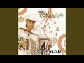 Serenata