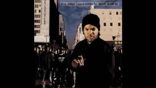 Ice Cube  what they hittin foe?