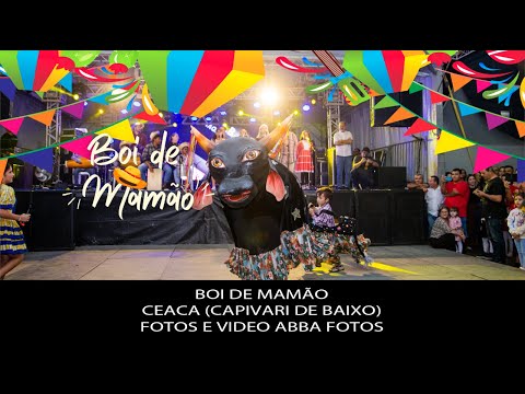 Boi de Mamão do Ceaca (Capivari de Baixo