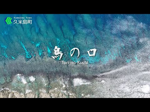鳥の口/Tori no Kuchi