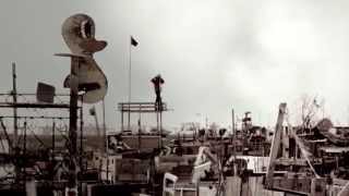 DIPNOI FISH - RISING SUN