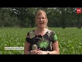 Drenthe Nu 17 juni 2020