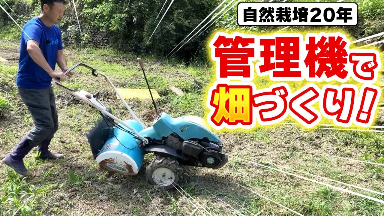 水はけの悪い粘土質の土地を畑にする手順|今橋さんの自然栽培実践から学ぶ