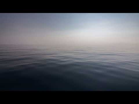 throwmance - sinkorswim (prod. barnacle boi)