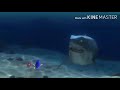 Finding Nemo Why Trusted The Shark