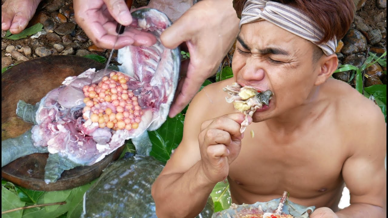 Putar video Catch And Cook Turtle - Cooking Softshell Turtle Recipe - Cook Shell Turtle Eat With Chili Sauce sekarang Catch And Cook Turtle - Cooking Softshell Turtle Recipe - Cook Shell Turtle Eat With Chili Sauce