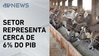 Miniatura do vídeo