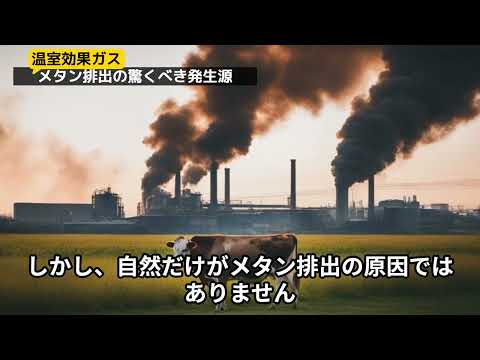 ツンドラは霜の中でもメタンを放出します