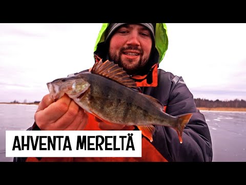 PANNUKARKEAA AHVENTA ENSIJÄILTÄ