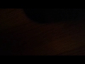 johnnie Wilmots Fiddle