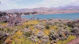 preview picture of video 'San Simeon Point, William Randolph Hearst Memorial State Beach, California'