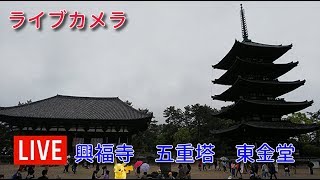Nara Kohfukuji live stream
