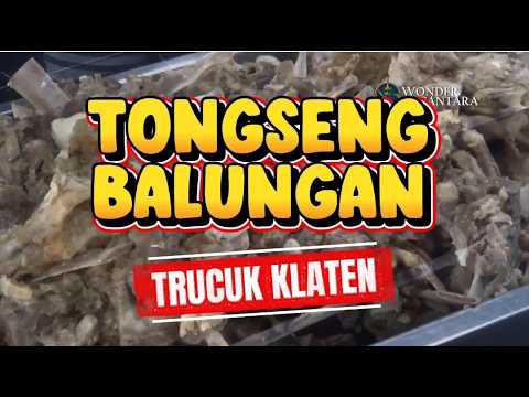 Tongseng Balungan Klaten: Kuliner Kambing Favorit SBY yang Wajib Dicoba