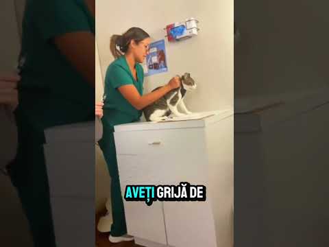 #viral #viralvideo #video #viralshorts #foryou #fy #fyp