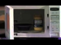 Microwave Cooking with Sad Music