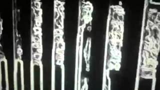 Avery Plains - Smells Like Trombone video