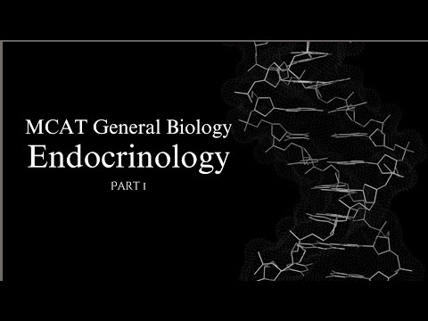 2024-2025 MCAT General Biology, Chapter 5- The Endocrine System (Part 1)