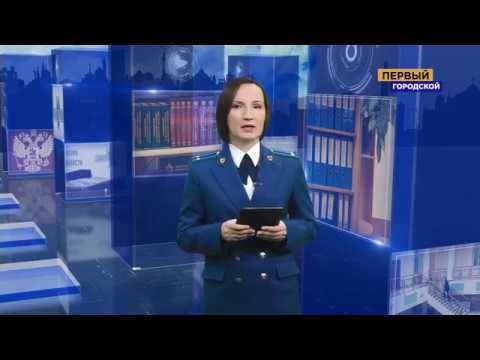 Закон в деталях эфир от 26 01 2019 (Незаконный оборот оружия)