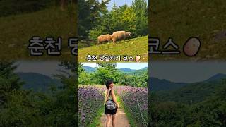 강원도 춘천 당일치기 여행💚#서울근교여행