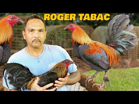 Beautiful Black Birds Topacio Mug RCP FARM - Farm Visit Hawaii