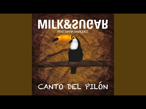 Canto del Pilón (Original Mix)