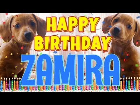 Happy Birthday Zamira! ( Funny Talking Dogs ) What Is Free On My Birthday