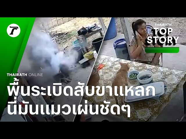 นี่มันแมวเผ่นชัดๆ วินาทีพื้นระเบิดตู้ม ไอ้จิ๋วสับขาแหลกตัวแรก หนีตายก่อนหมู่ | Top Story