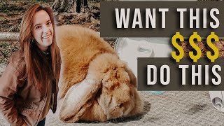 3 Tips To Sell Rabbits On Your Hobby Farm - Without Feeling Sleazy