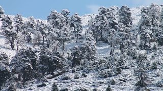 preview picture of video 'Nieve en la Serrania de Ronda 2015'