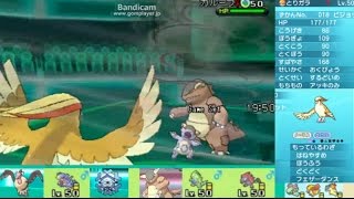 ピジョット ポケットモンスター ゾロアーク ヒトモシ イベルタル