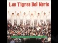 El Amor no se Mide__Los Tigres del Norte Album Asi como Tu (Año 1997)