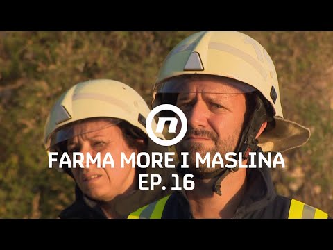 Kako su farmeri izvršili zadatak? - Epizoda 16 | Farma More i Maslina