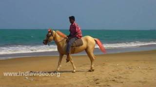 Nagore beach, Nagapattinam