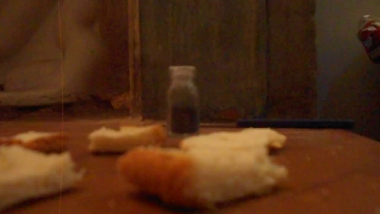 COMO MATAR RATOS DO FOGÃO