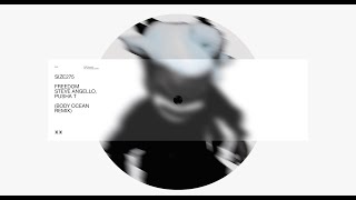 Steve Angello - Freedom (Body Ocean Remix) [feat. Pusha T] (Visualizer)