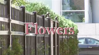 Flowers music video by willow smith