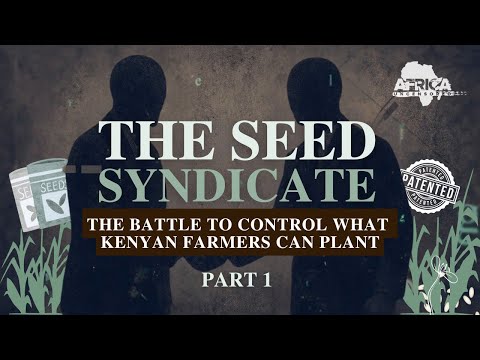 The Seed Syndicate: The Battle To Control What Kenyan Farmers Can Plant - Part 1