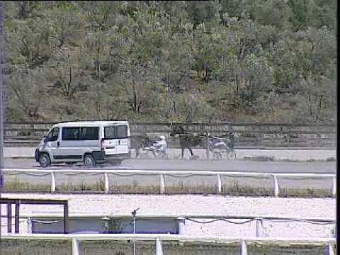 IPPODROMO DEI PINI - Prova di qualifica 3 anni.