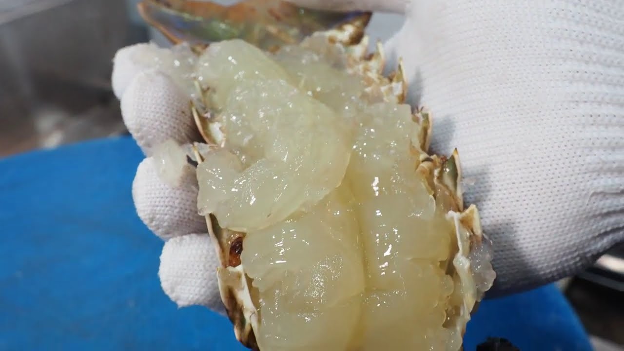 다낭 로컬 해산물 식당 크레이피쉬 실물