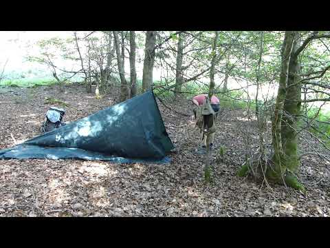 7 vs. Wild 24H Selbstversuch mit Hund