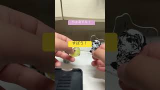 #宝鐘マリン #ホロライブ #購入品紹介 #宝鐘マリン切り抜き