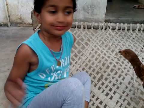 Akshith Feeding Chicken