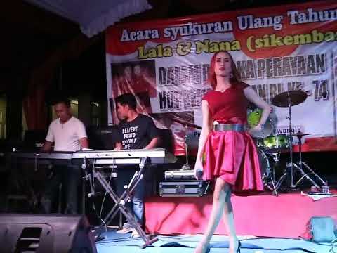 GOYANG INUL (INUL DARATISTA) - YUYUN