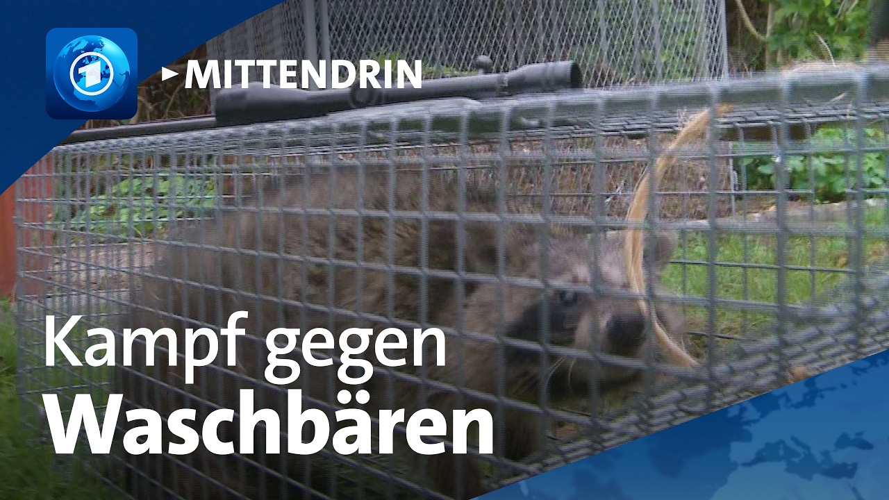 Lübeck: Unterwegs mit dem Stadtjäger | tagesthemen mittendrin