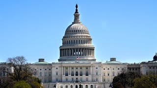 Gun control bill heads for House after Senate passes it